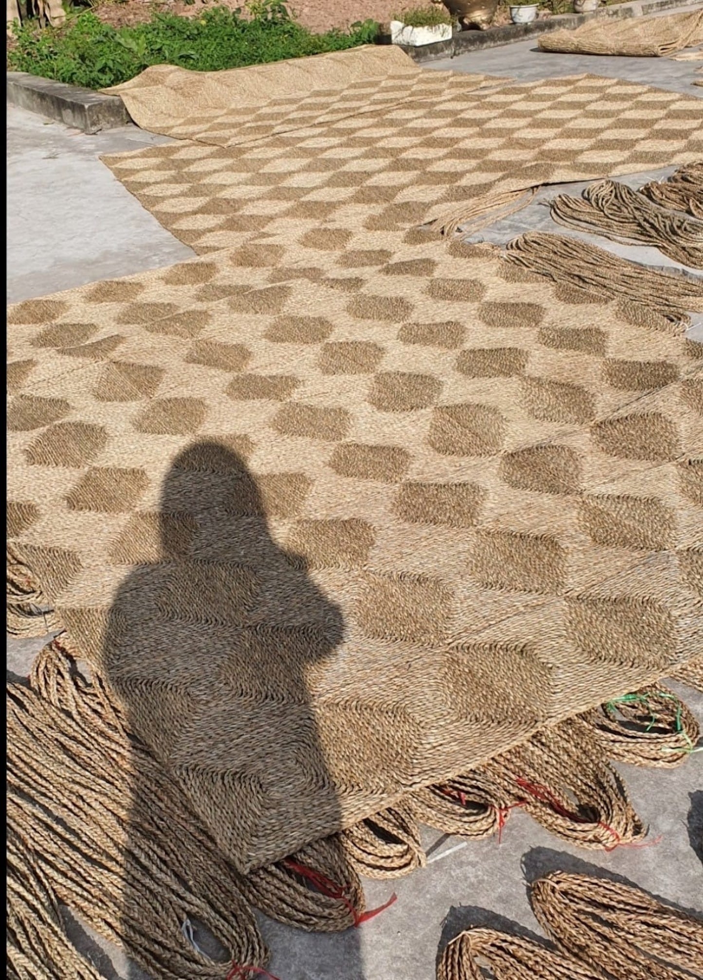 Rectangle Seagrass Rug in larger sizes sunbathing in the back of the woven factory